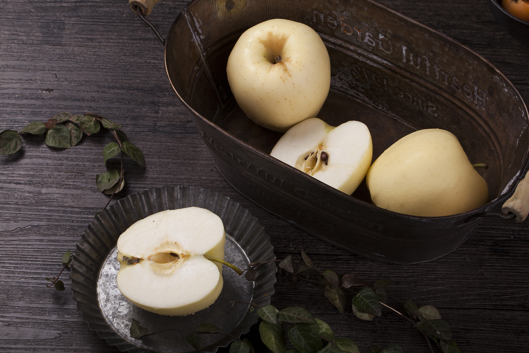 金秋“灭火器”上线，跟上火说拜拜